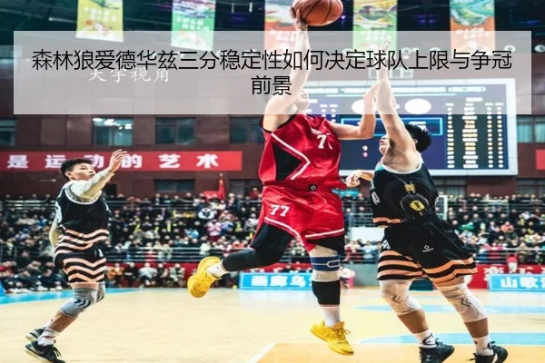 森林狼爱德华兹三分稳定性如何决定球队上限与争冠前景